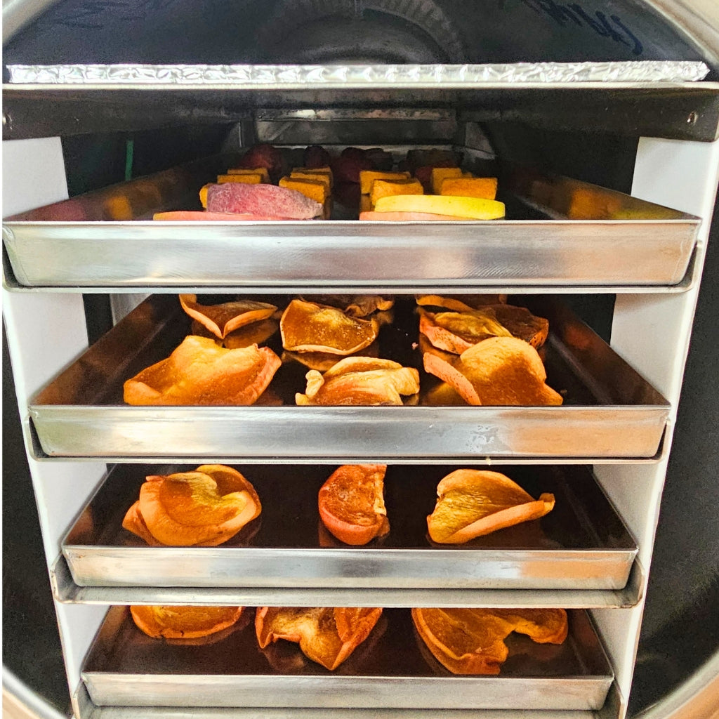 Master Products - LIO 40 Freeze Dryer