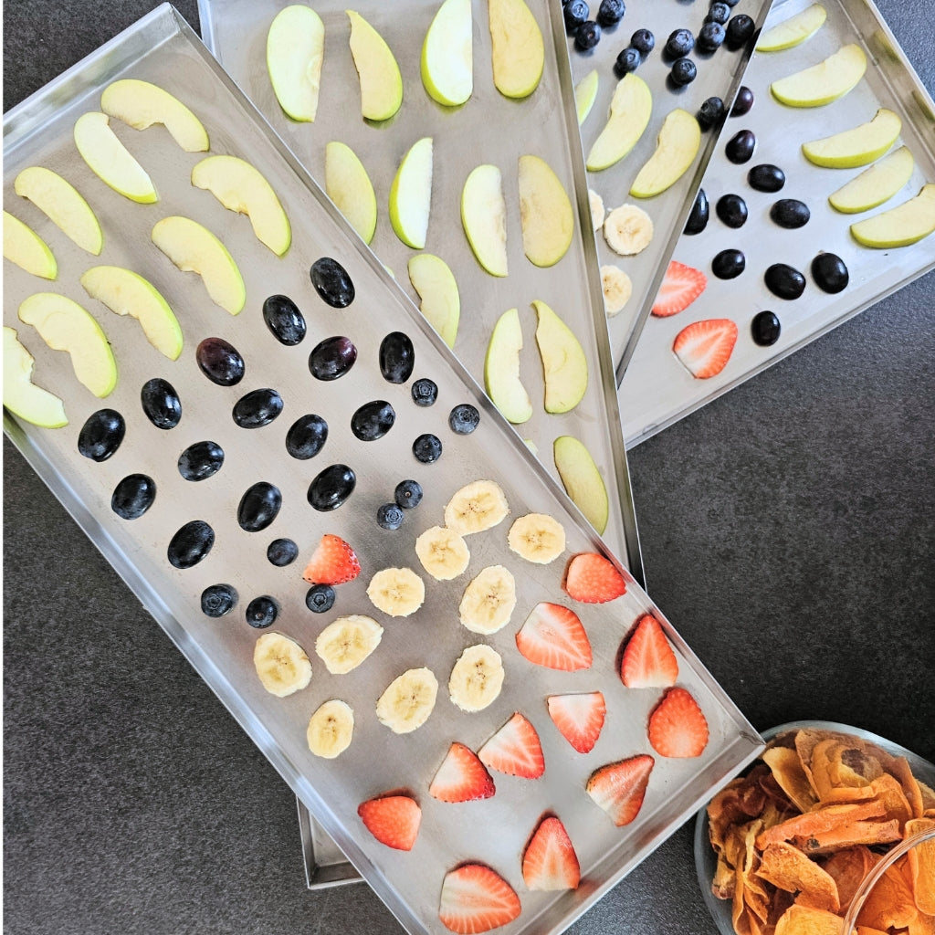 Master Products - LIO 40 Freeze Dryer