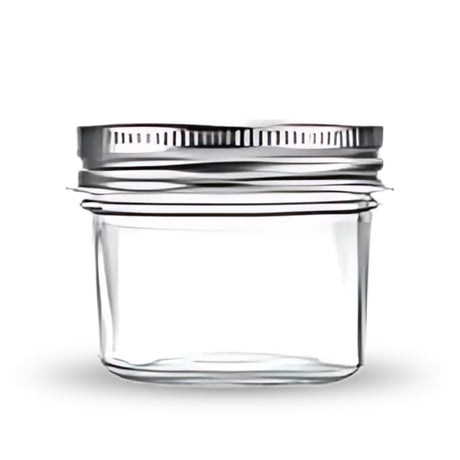 4 Oz Glass Screw Top Mason Jar 