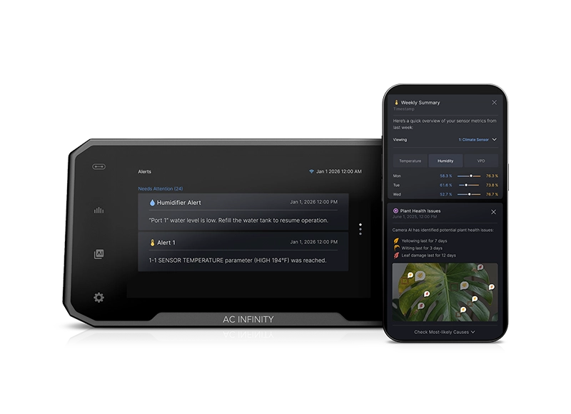 Proactive Alerts