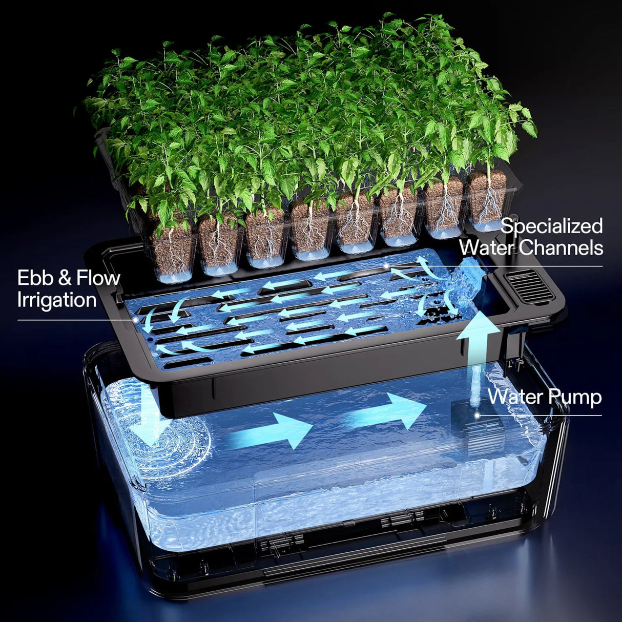 Vivosun VSeed Smart Seedling Box