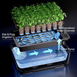 Vivosun VSeed Smart Seedling Box