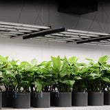 AC Infinity EVO3 280W LED Grow Light