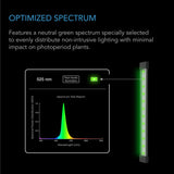 AC Infinity Ionbeam Green LED Work Light 16"